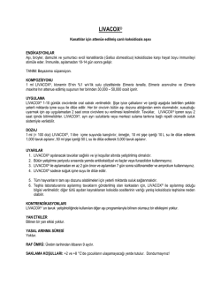 lıvacox - G&uuml;neşli Aşı