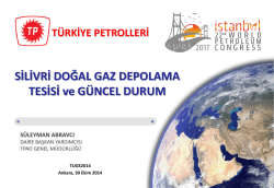S&uuml;leyman Abravcı (TPAO) - T&uuml;rkiye Uluslararası Yeraltı Doğal Gaz