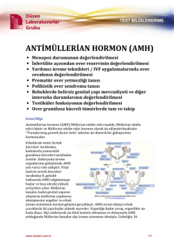 ANTİM&Uuml;LLERİAN HORMON (AMH)