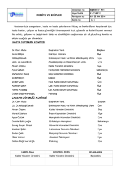 G&uuml;ncel Komiteler Listesi