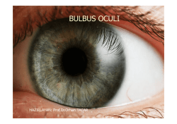 bulbus oculı