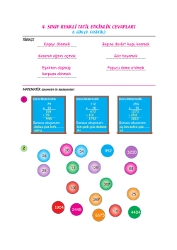4. sınıf renkli tatil etkinlik cevapları