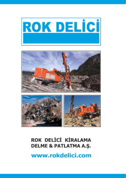 ROK DELICI 2014 yeni