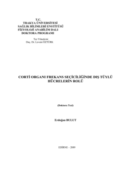 Erdoğan BULUT - Açık Erişim Sistemi