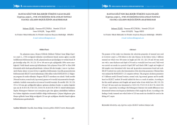ÖZET (PDF) - Akuademi.Net