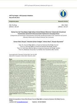 Retinal Ven Dal Tıkanıklığına Bağlı Gelişen