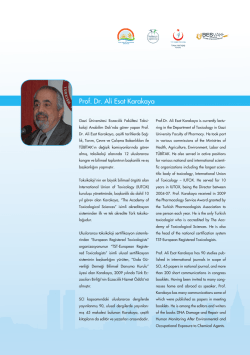 Prof. Dr. Ali Esat Karakaya