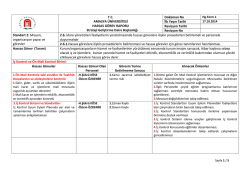 T.C. AMASYA &Uuml;NİVERSİTESİ HASSAS G&Ouml;REV RAPORU Strateji
