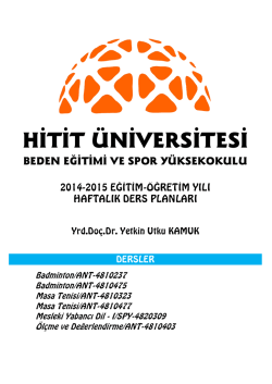 Ek Dosyayı İndir - Akademik Web