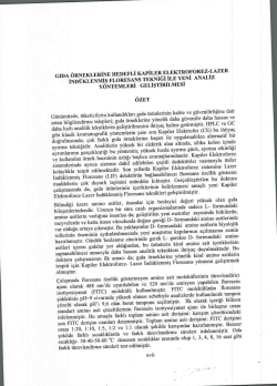 Filiz Tezcan Tekeli Prof. Dr. Fatma Bedia Berker Gıda &Ouml;rneklerine