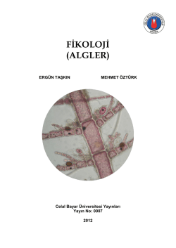 fikoloji (algler) - celal bayar &uuml;niversitesi rekt&ouml;rl&uuml;ğ&uuml; matbaa şube