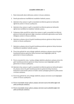 Çalışma Soruları