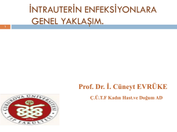 C&uuml;neyt EVR&Uuml;KE