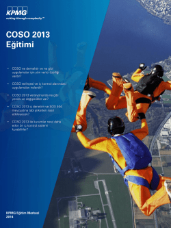 COSO 2013