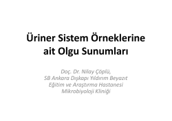 Üriner Sistem Örneklerine ait Olgu Sunumları