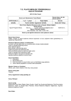 T.C. PLATO MESLEK Y&Uuml;KSEKOKULU