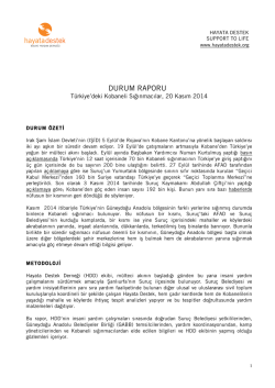 Raporu indirmek i&ccedil;in l&uuml;tfen tıklayın.