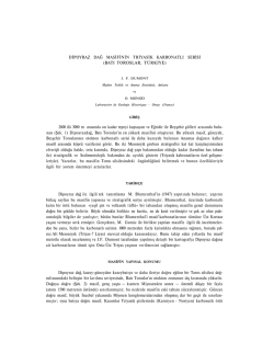 tam metin, PDF