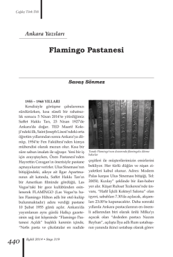 Flamingo Pastanesi