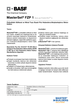 MasterSet® FZP 1 (Eski adı POZZUTEC® 1) Polinaftalin