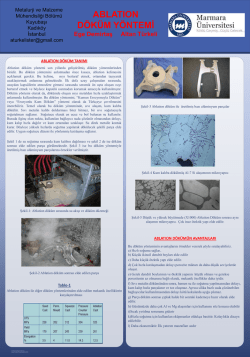 Ege Demirtaş Altan T&uuml;rkeli