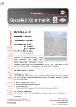 Kestelek Kolemanit - Eti Maden İşletmeleri