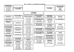info yatırım a.ş. organizasyon şeması