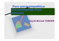 Pars parasympathica (Parasempatik Sinir Sistemi)