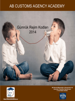 PowerPoint Sunusu - AB Customs Agency