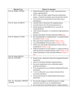 &Ouml;ğretim &Uuml;yesi Bitirme Tez Konuları Prof. Dr. G&uuml;nd&uuml;z ATEŞOK