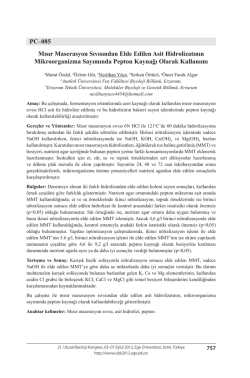 Mısır Maserasyon Sıvısından Elde Edilen Asit