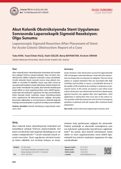 D&uuml;zeltilmemiş Tam Metin