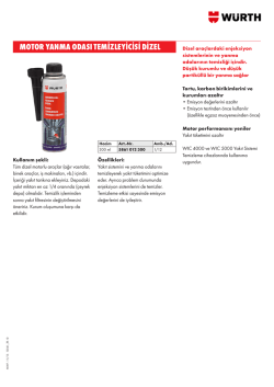 motor yanma odası temizleyicisi dizel