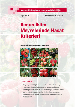 Ilıman İklim Meyvelerinde Hasat Kriterleri