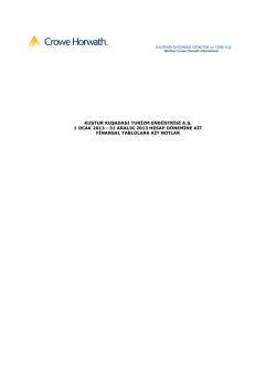 31 aralık 2013 hesap d&ouml;nemine ait finansal tablolara