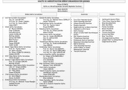 kalite ve akreditasyon birimi organizasyon şeması