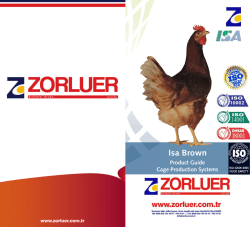 Isa Brown Katalog - Zorluer Tavuk&ccedil;uluk