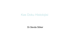 Kas Doku Histolojisi