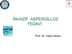 Boğaziçi üniversitesi rektörlük davet yazısını ve seminer