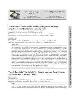 Mass Balance Criteria in Soil Salinity Management: Different