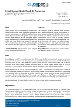 Spinal Aksesuar Sinirin &Ouml;nemli Bir Varyasyonu