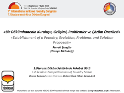 Bir D&ouml;k&uuml;mhanenin Kuruluşu, Gelişimi, Problemler