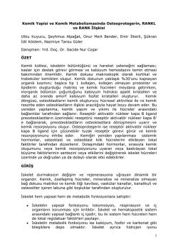 Kemik Yapisi ve Kemik Metabolizmasinda Osteoprotegerin, RANKL