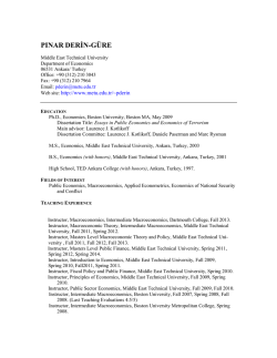 Curriculum Vitae - Middle East Technical University