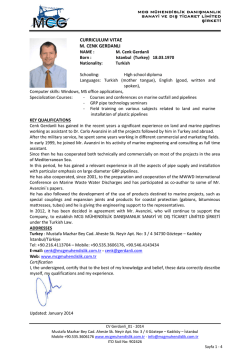 CURRICULUM VITAE M. CENK GERDANLI