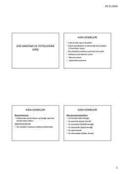 Göz anatomisi fizyolojiye giriş PDF