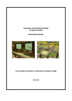 hollanda s&uuml;s bitkileri sekt&ouml;r&uuml; ve mezat sistemi