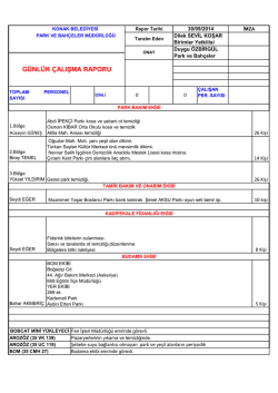 g&uuml;nl&uuml;k &ccedil;alışma raporu