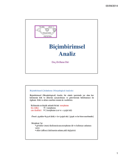 Bicimbirimsel Analiz-5