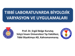 Prof. Dr. Ergül Belge Kurutaş